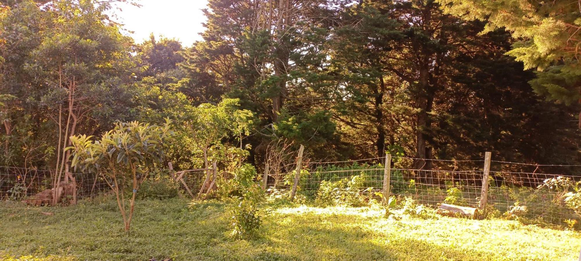 Apartmán Epimoni Poas Exteriér fotografie